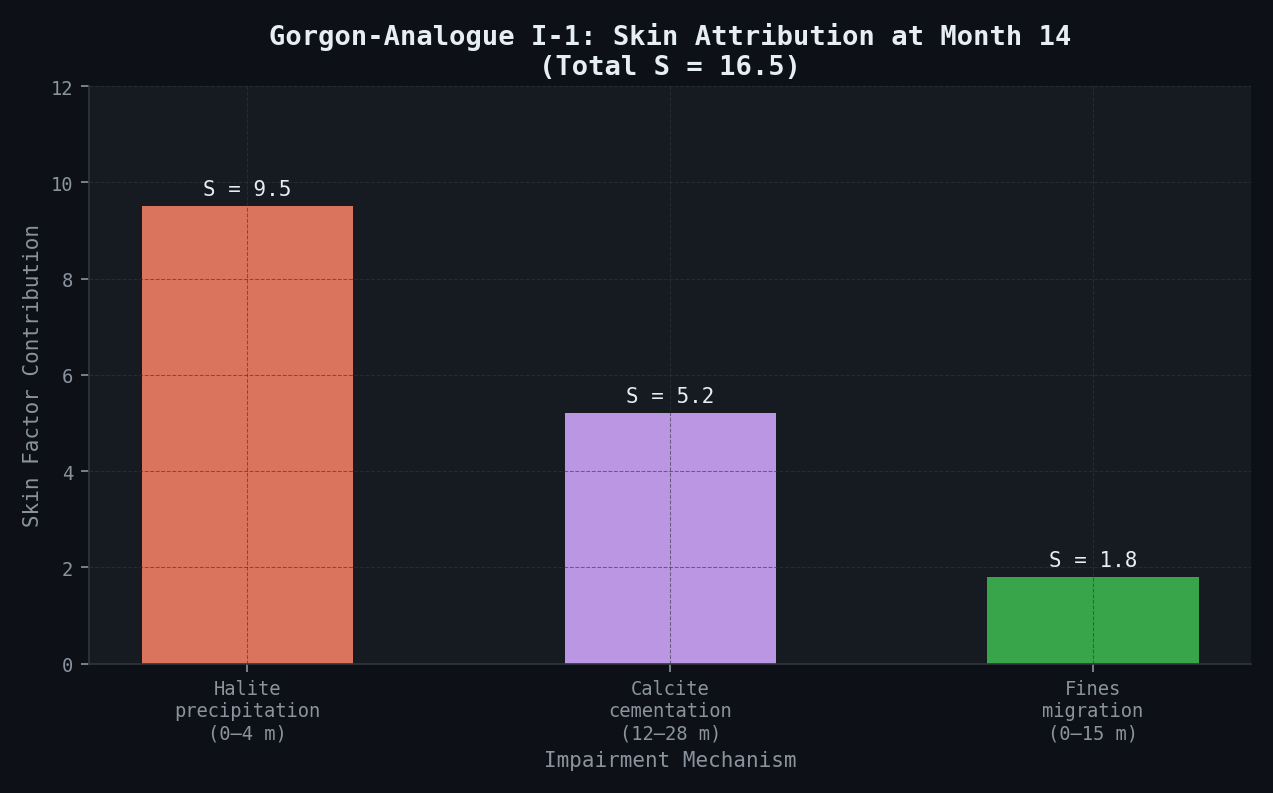 Gorgon-Analogue I-1: Skin Attribution at Month 14