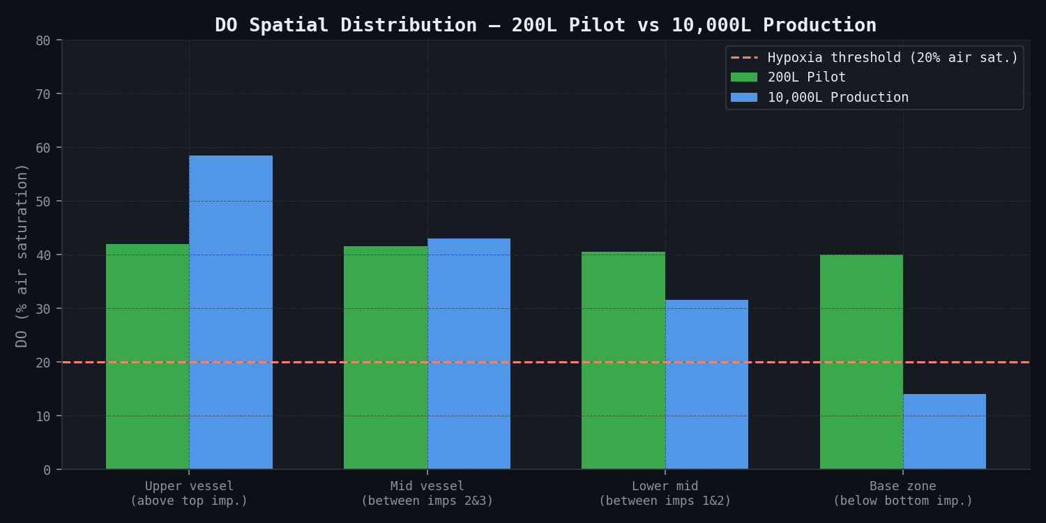 DO Spatial Distribution — 200L Pilot vs 10,000L Production