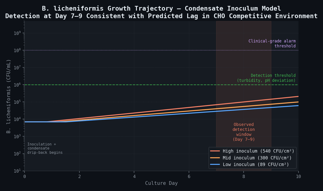 B. licheniformis Growth Trajectory — Condensate Inoculum Model